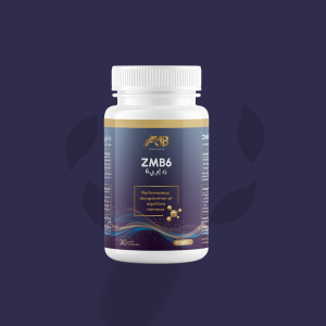 ZMB6 (Zinc + Magnésium + Vitamine B6) B30